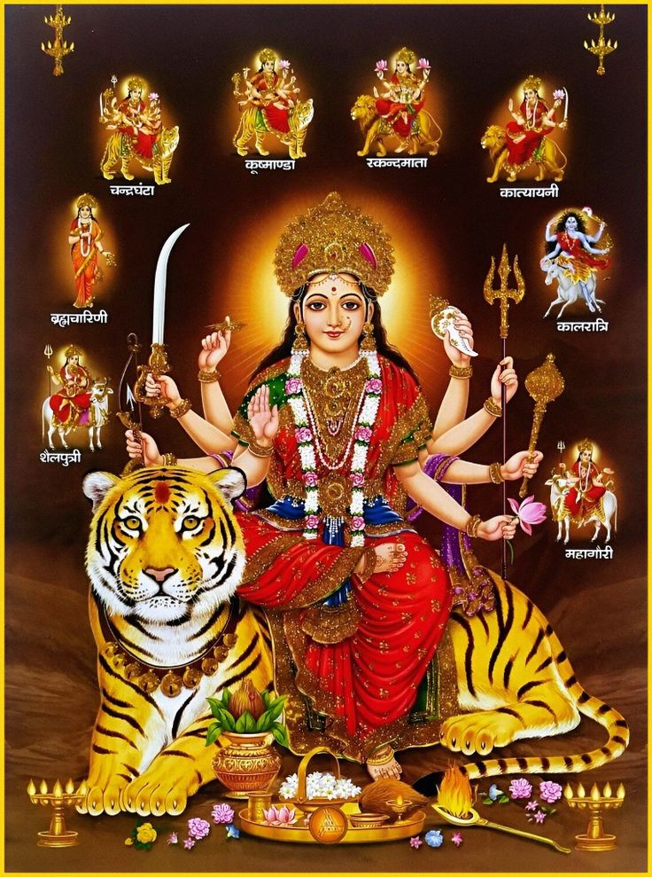 Full Day Prasadam Sponsor